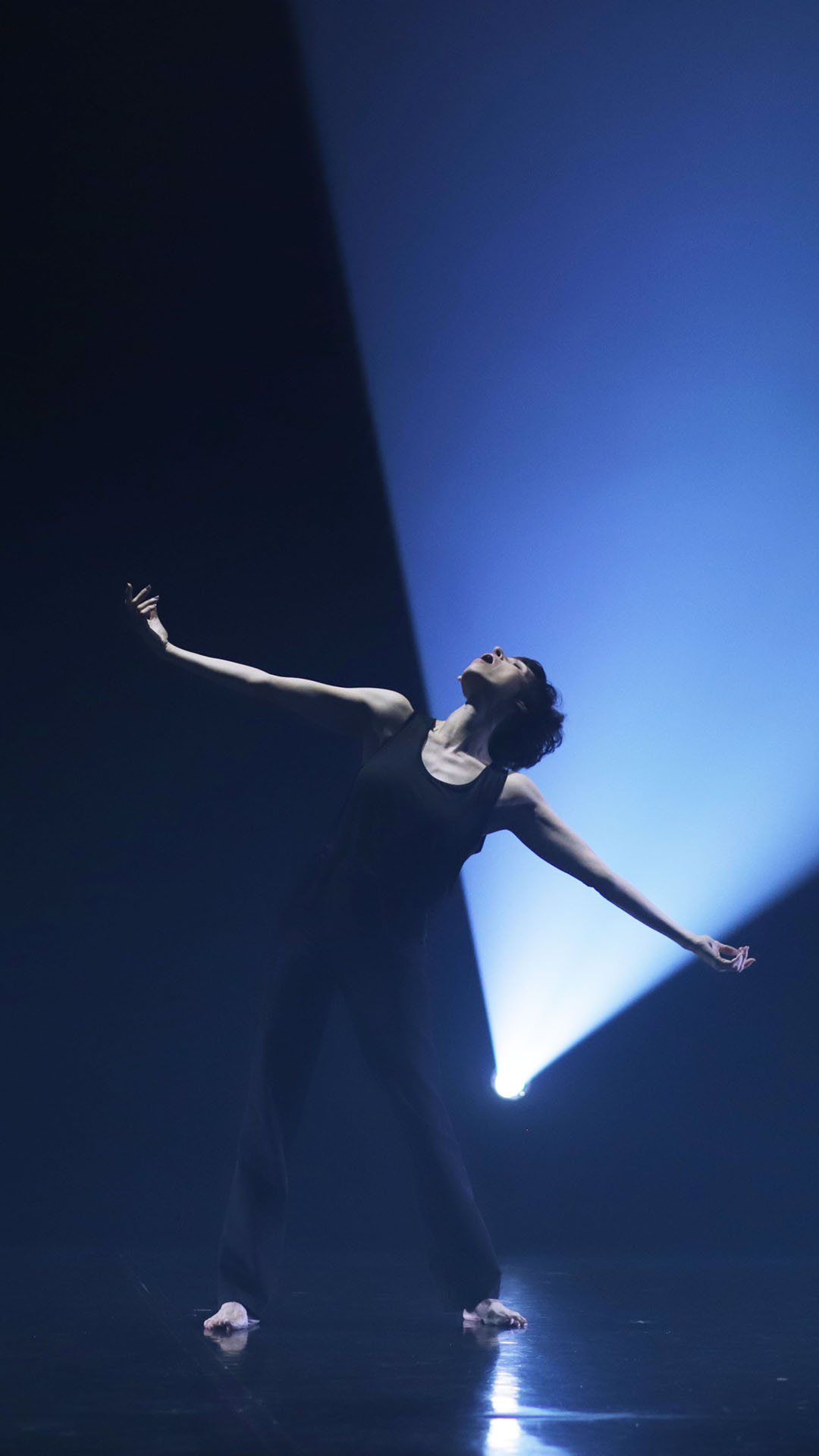 LA FEMME QUI DANSE