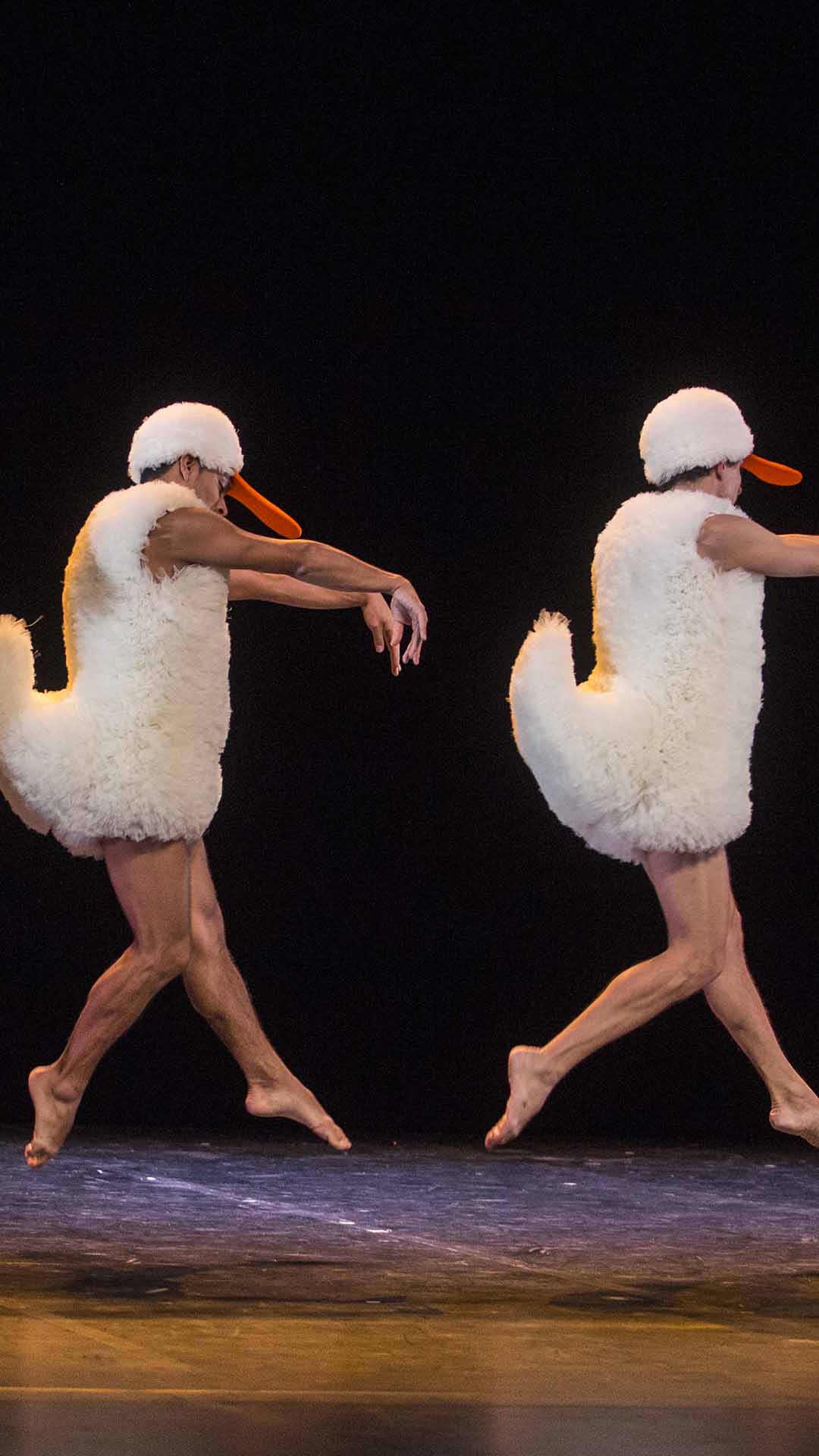 TUTU